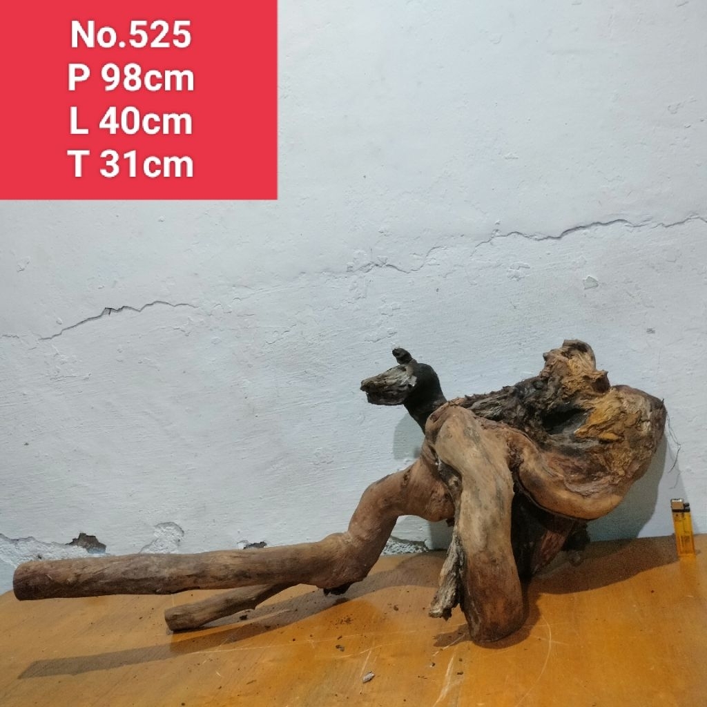 bonggolan akar santigi laut kayu santigi dekorasi aquascape aquarium 525