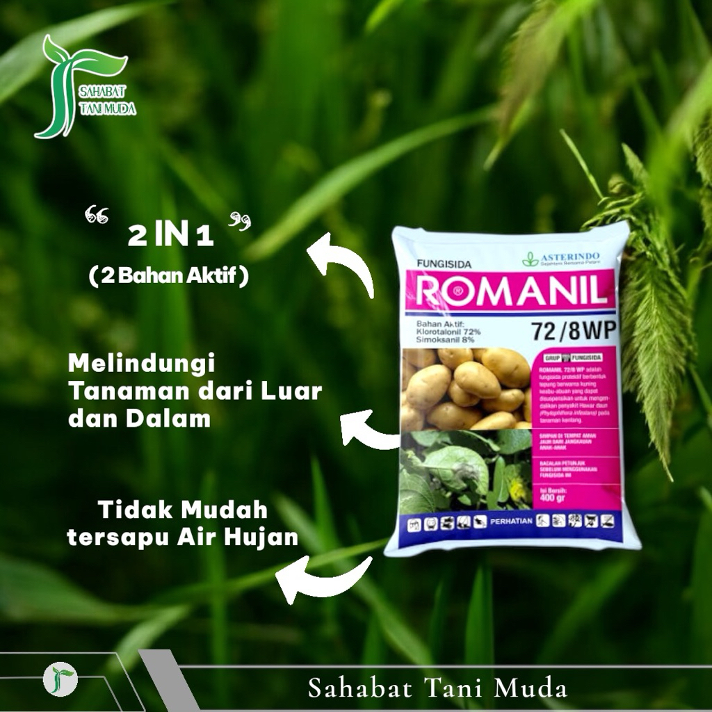 Fungisida ROMANIL 72/8 WP Klorotalonil+Simoksanil Mengendalikan Penyakit semua Tanaman