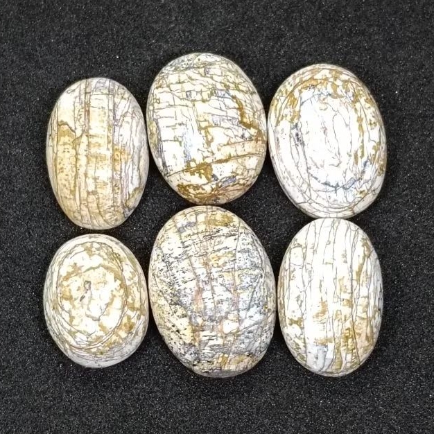 Original Batu Anti Wisa , Putih Albino , Natural Cirebon