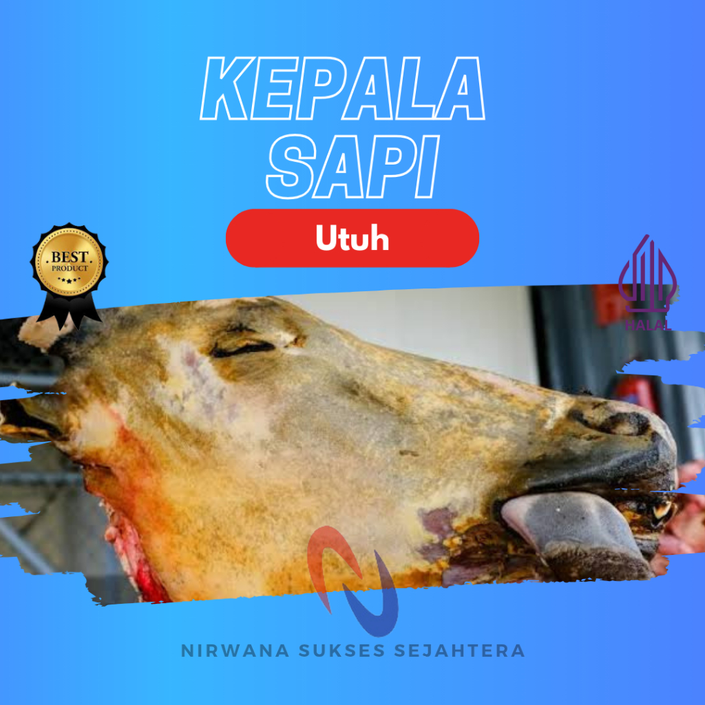 KEPALA SAPI UTUH / WHOLE BEEF HEAD