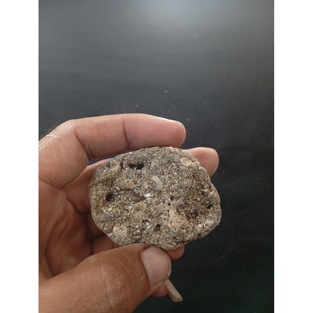 natural temuan alam batu meteor kuno garis petir A43