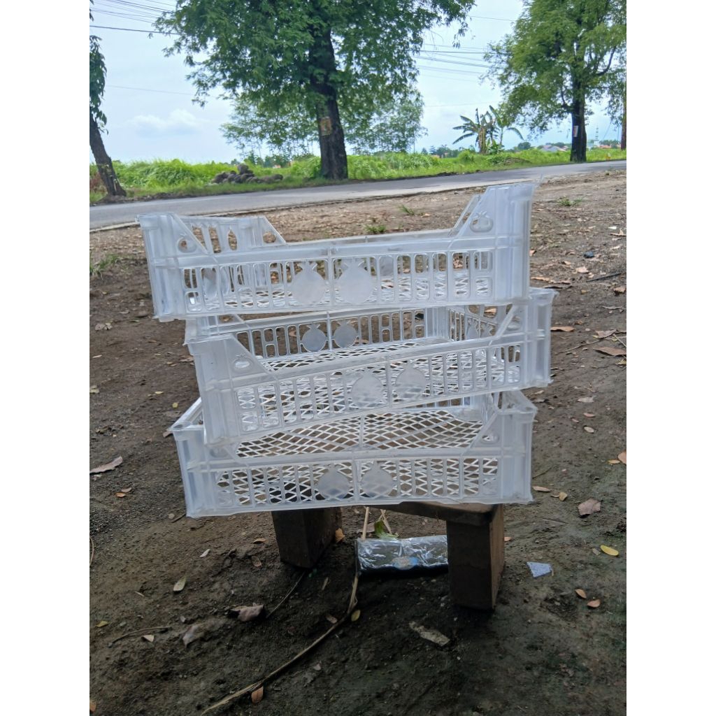 Keranjang buah // Keranjang bekas buah // Wadah serbaguna