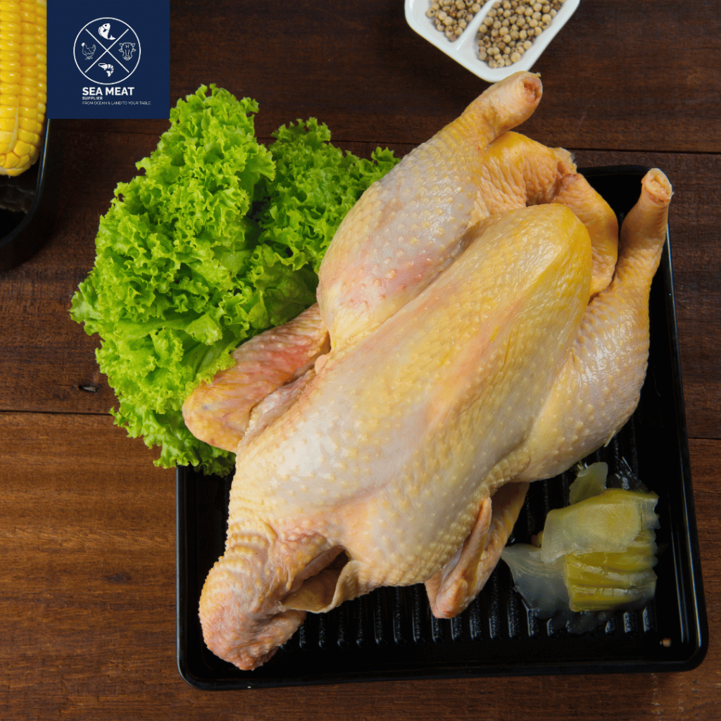 Bebek Peking  Golden Duck  Daging Beku Frozen Hibrida Muda Ekor
