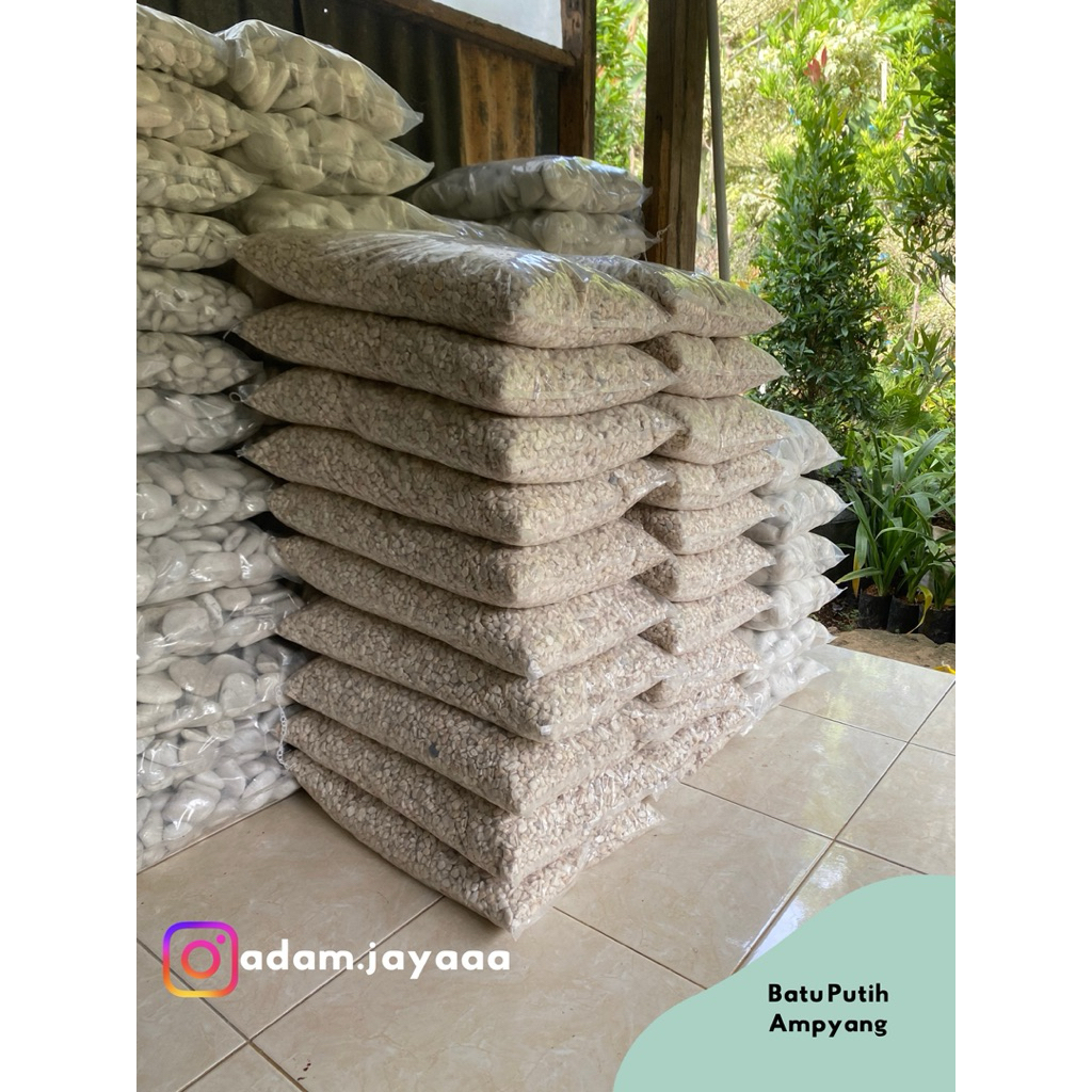 Batu Sikat Putih 10 Kg – Kualitas Premium untuk Carport & Taman