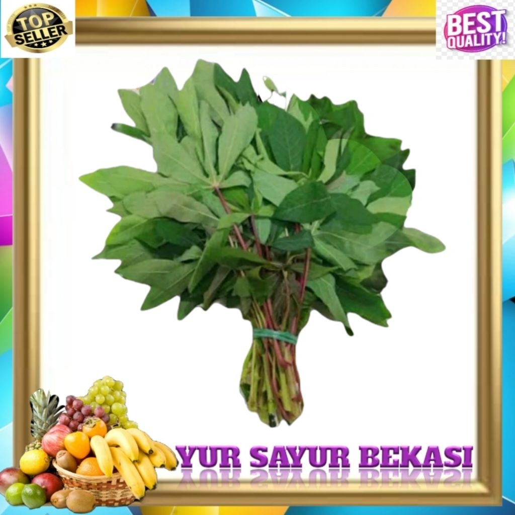 Daun Singkong Segar.