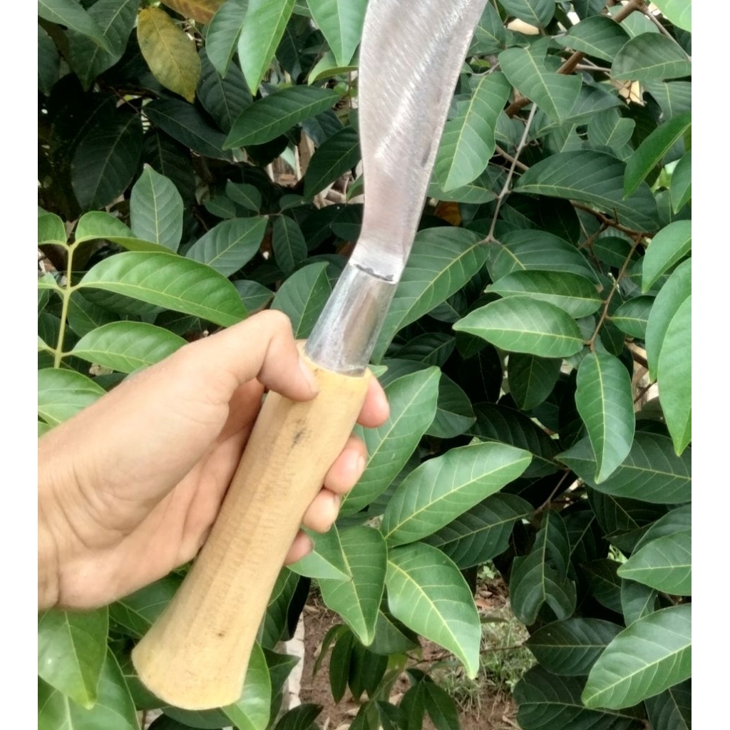 peralatan berkebun arit/sabit rombes dan ramban ketebalan 6 mili cocok untuk potong kayu bambu dan r
