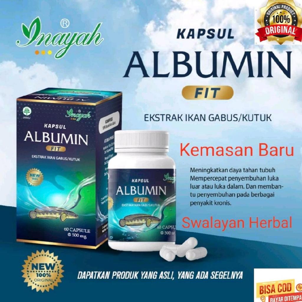 Albumin Fit Ekstrak Ikan Gabus 60 Kapsul Original