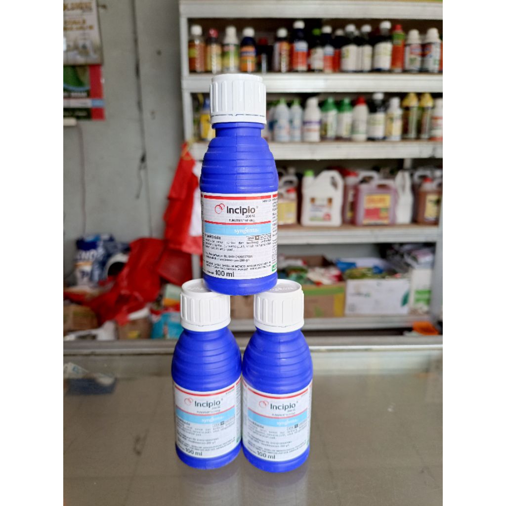 INSEKTISIDA INCIPIO 80ML ORIGINAL SYNGENTA