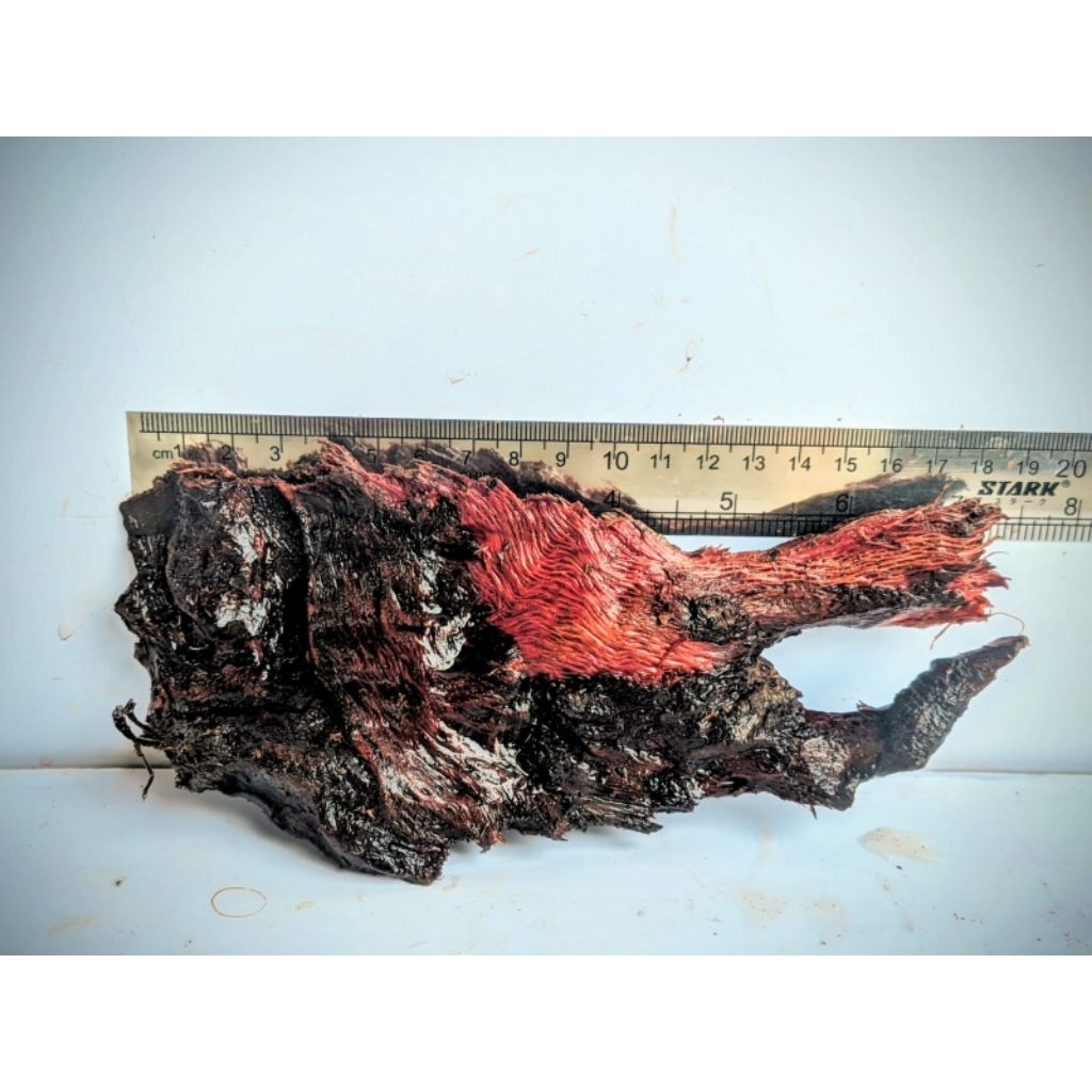 kayu rentek aquascape tenggelam