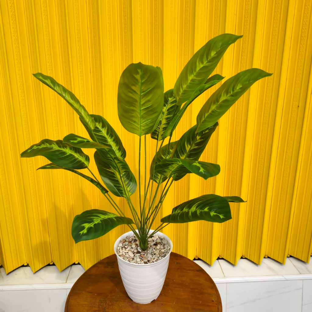 RANGKAIAN POHON PISANG TINGGI 80CM LENGKAP DENGAN POT PLASTIK PUTIH