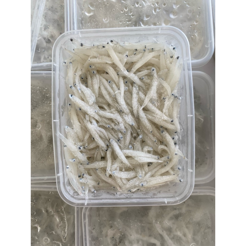 HOMEMEAT TERI MEDAN BASAH/TERI NASI BASAH SEGAR