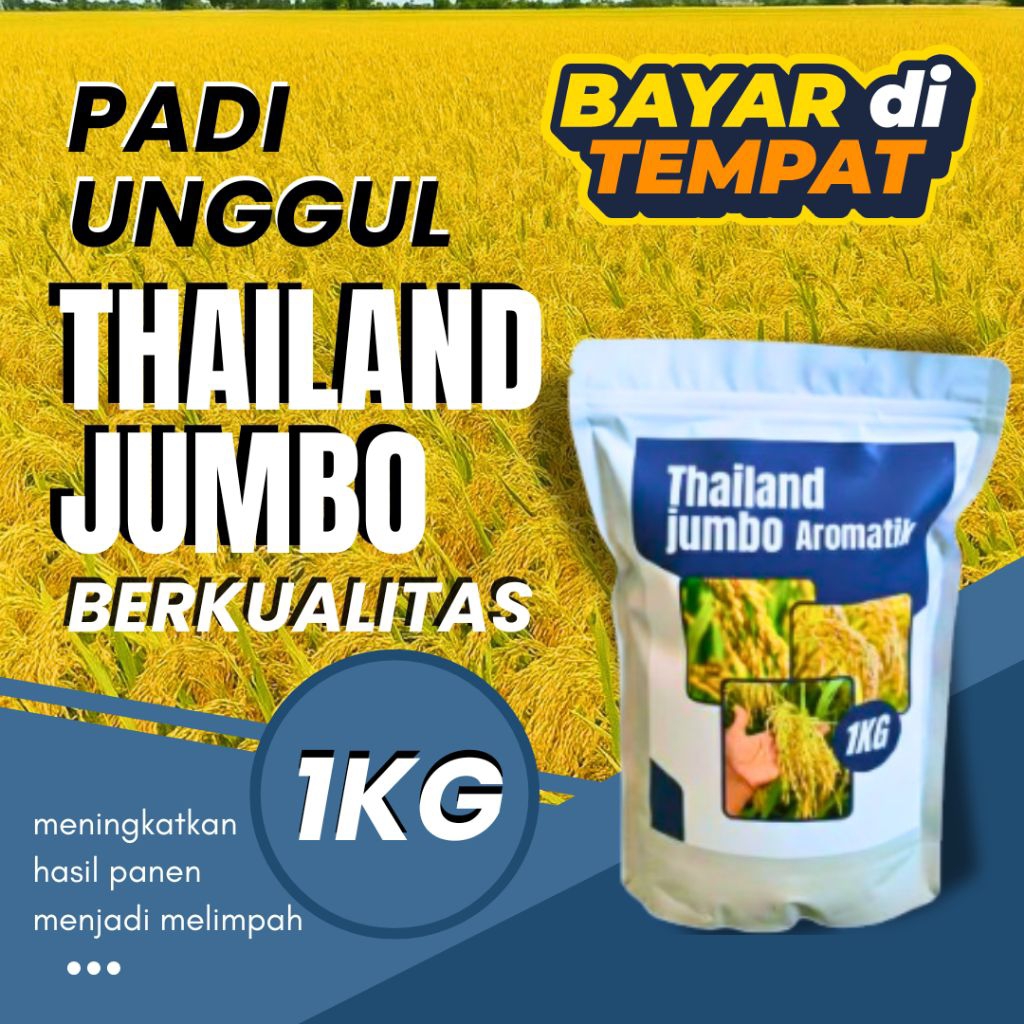 benih padi Thailand jumbo 1kg kualitas mantap