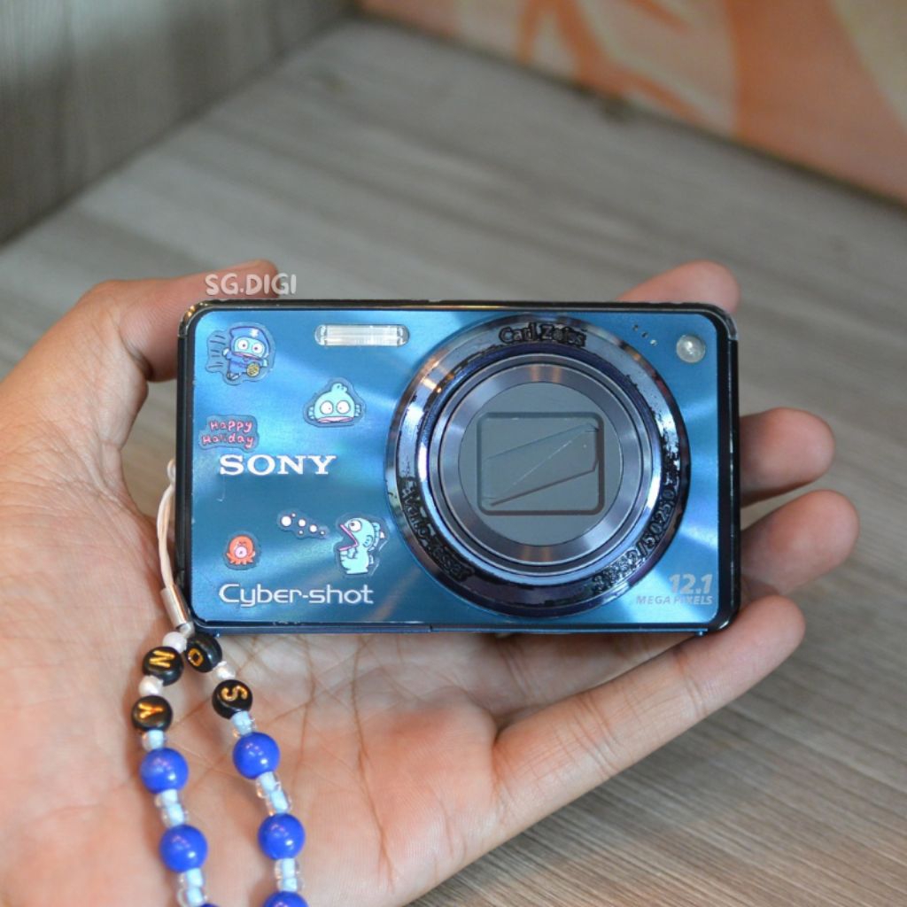 Kamera Sony Cyber Shot Dsc W290 Digicam Digital Camera