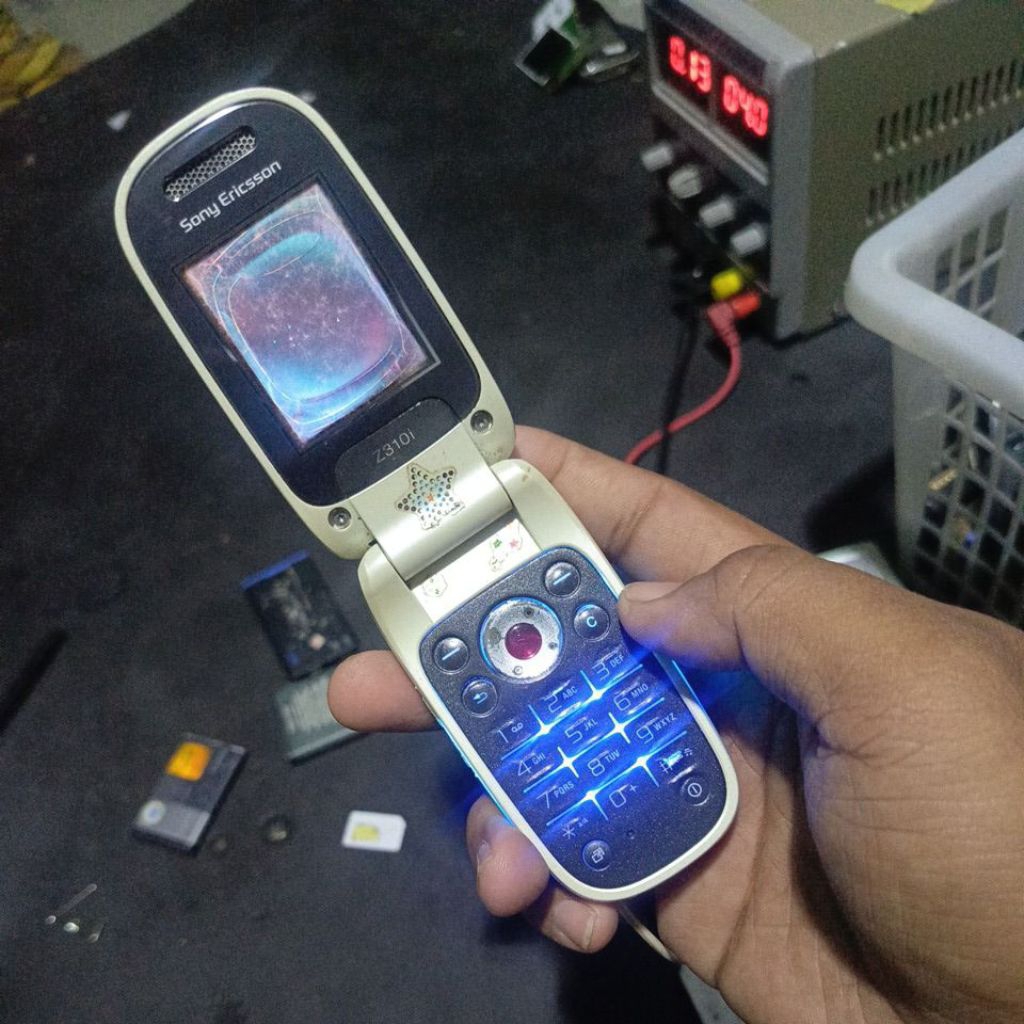 Sony Ericsson Z310i