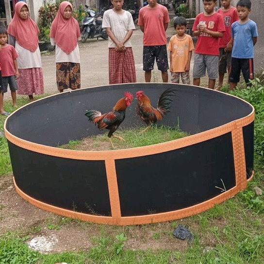 GEBER AYAM/KALANG AYAM JANTAN/JAGO UNTUK LATIHAN AYAM JANTAN BAHAN SPON TEBAL UKURAN 3 METER LIS WAR