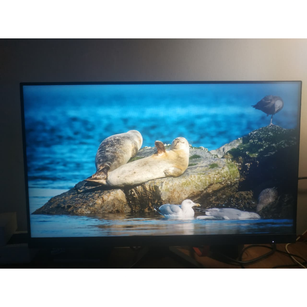 Monitor AOC 24G4 180hz Ergonomis