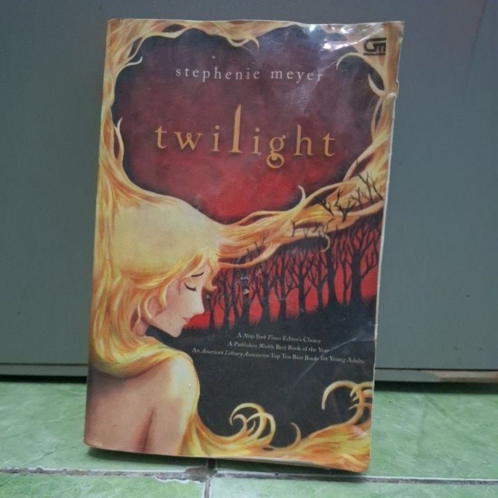 (Preloved) Buku Novel Twilight