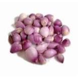 Bawang Merah Kupas Segar  Terjangkau