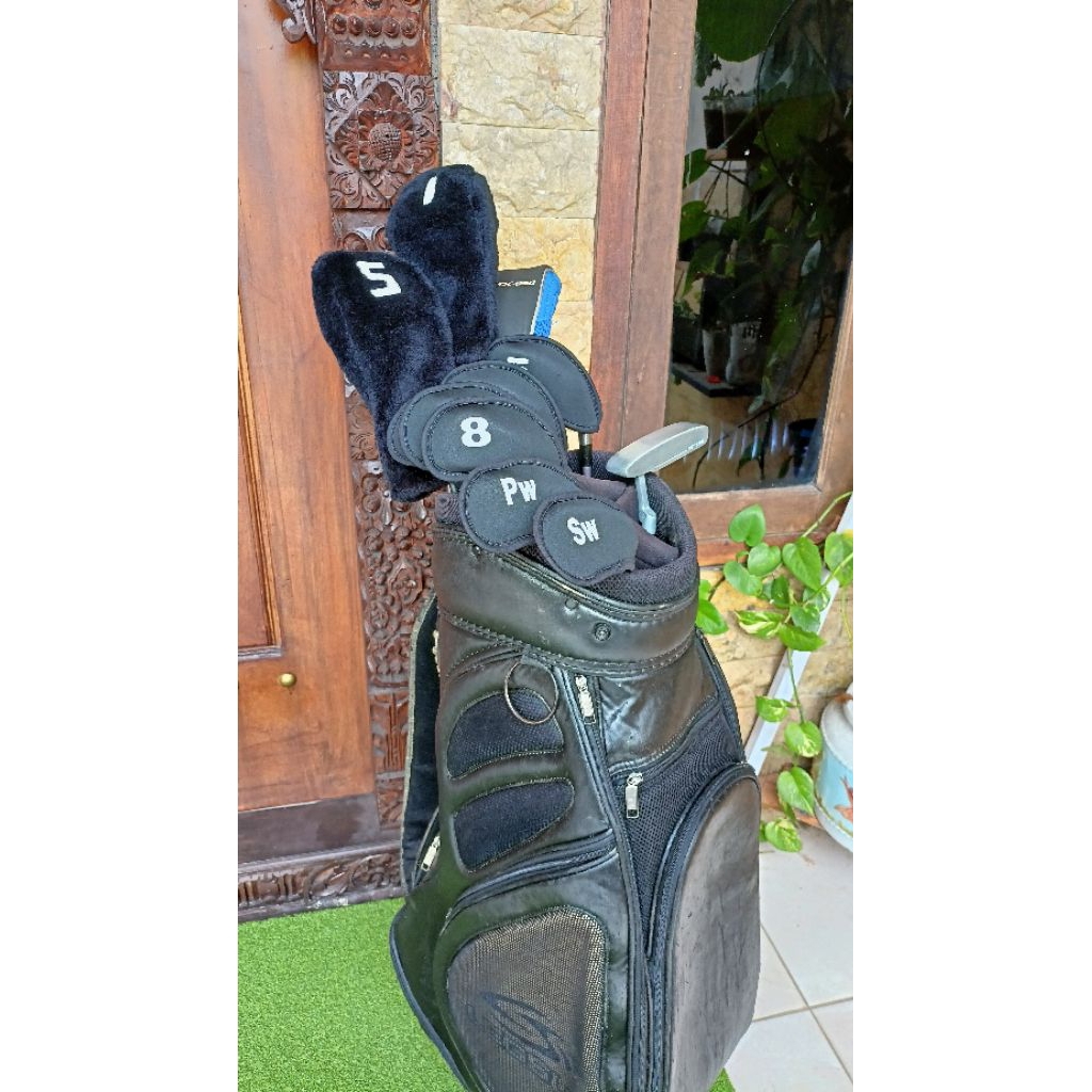 stick golf ladies mizuno notus mix