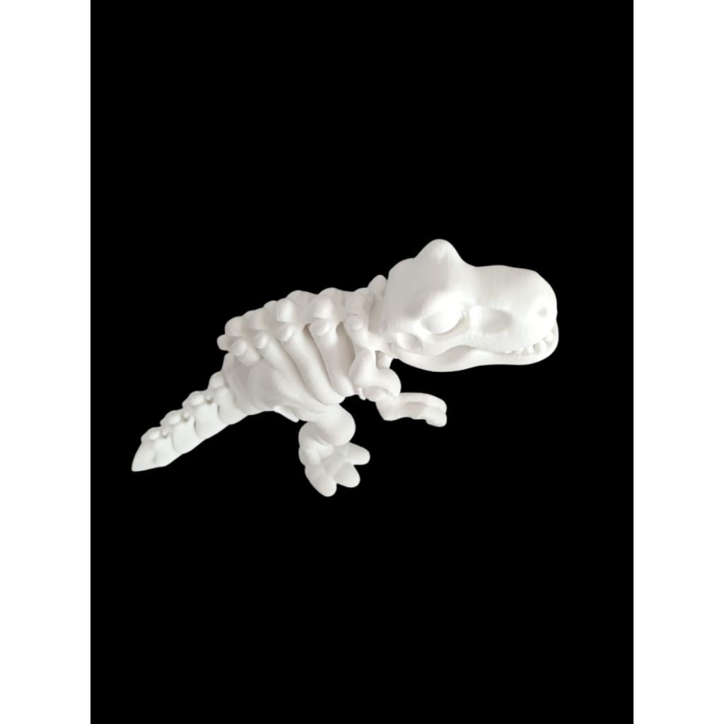 3D PRINT DINOSAUR SKELETON / TULANG DINOSAURUS