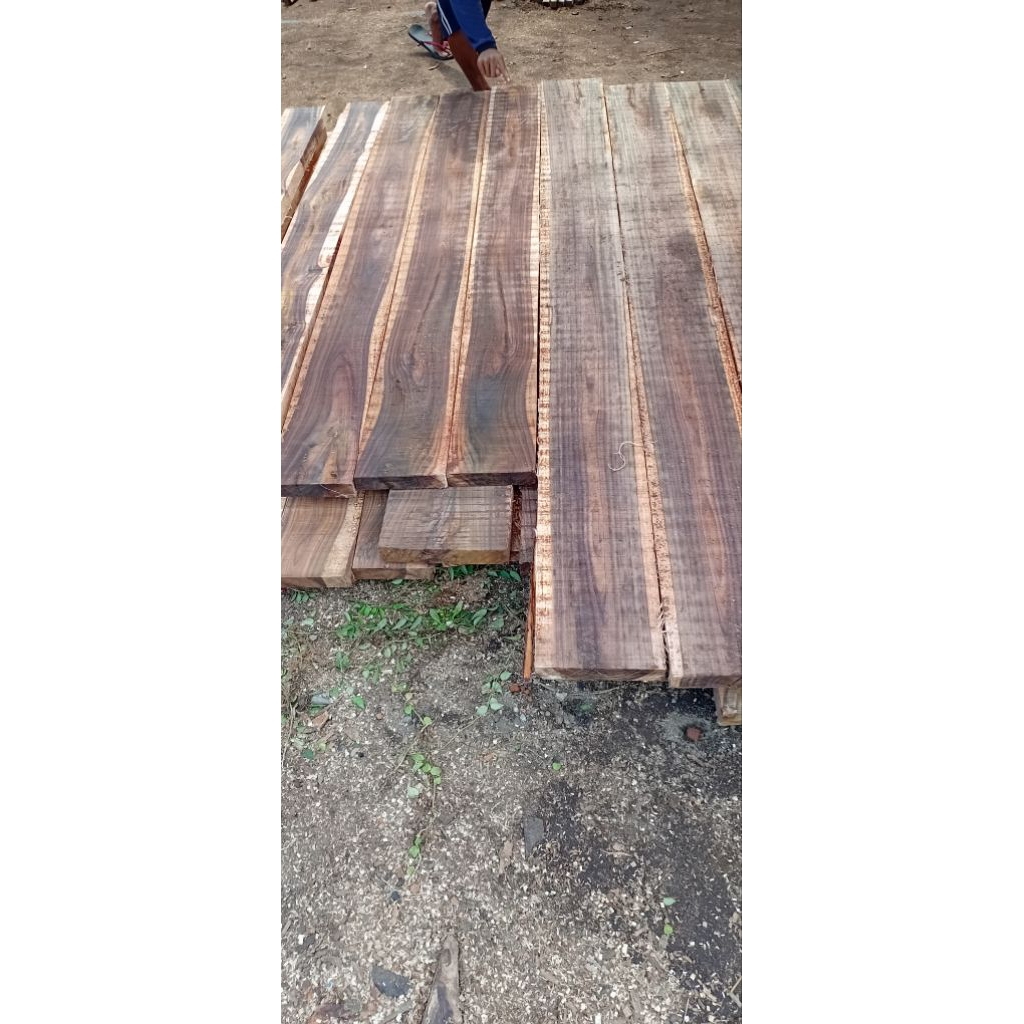 kayu sonokeling galih super