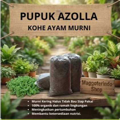 Pupuk Azolla Kotoran Ayam Murni