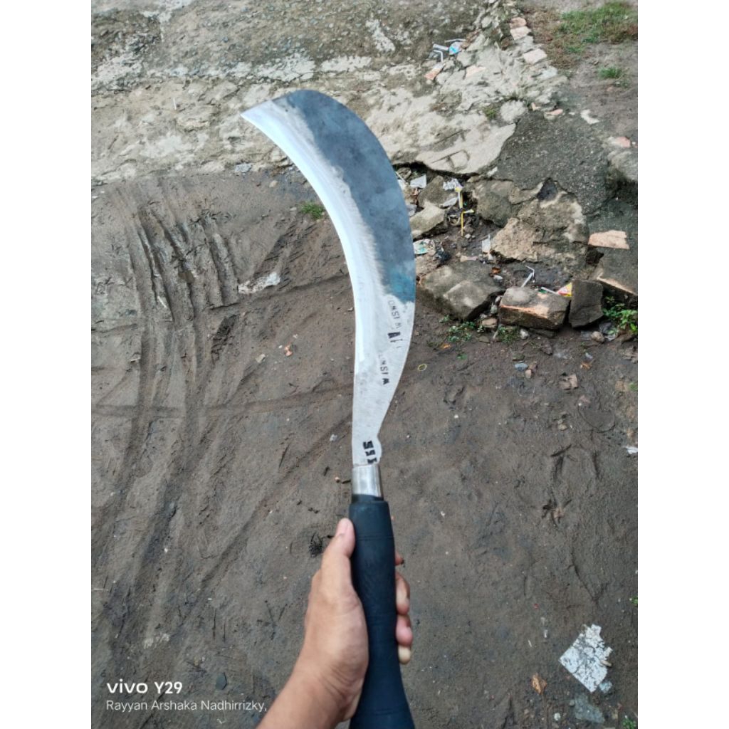 arit tebu kecil berkualitas