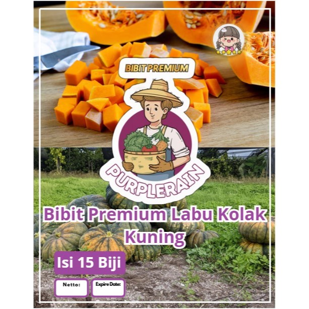 Bibit Premium Labu Kolak Kuning | Biji Benih Labu kolak| Labu Kuning