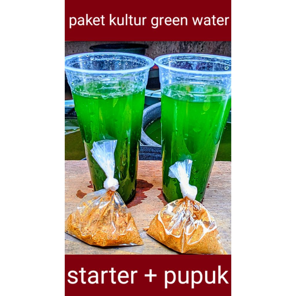 paket kultur green water / chlorella (starter chlorella+pupuk racikan) untuk media kultur kutu air