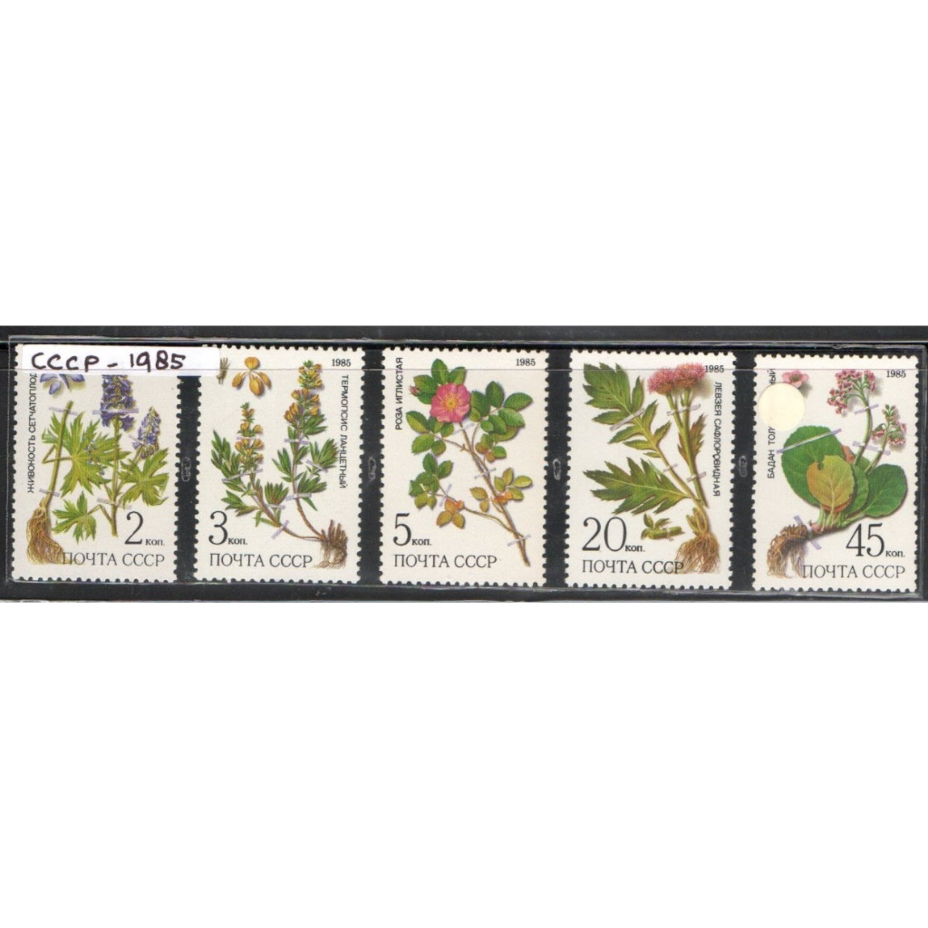 Prangko Tema Bunga mint 151