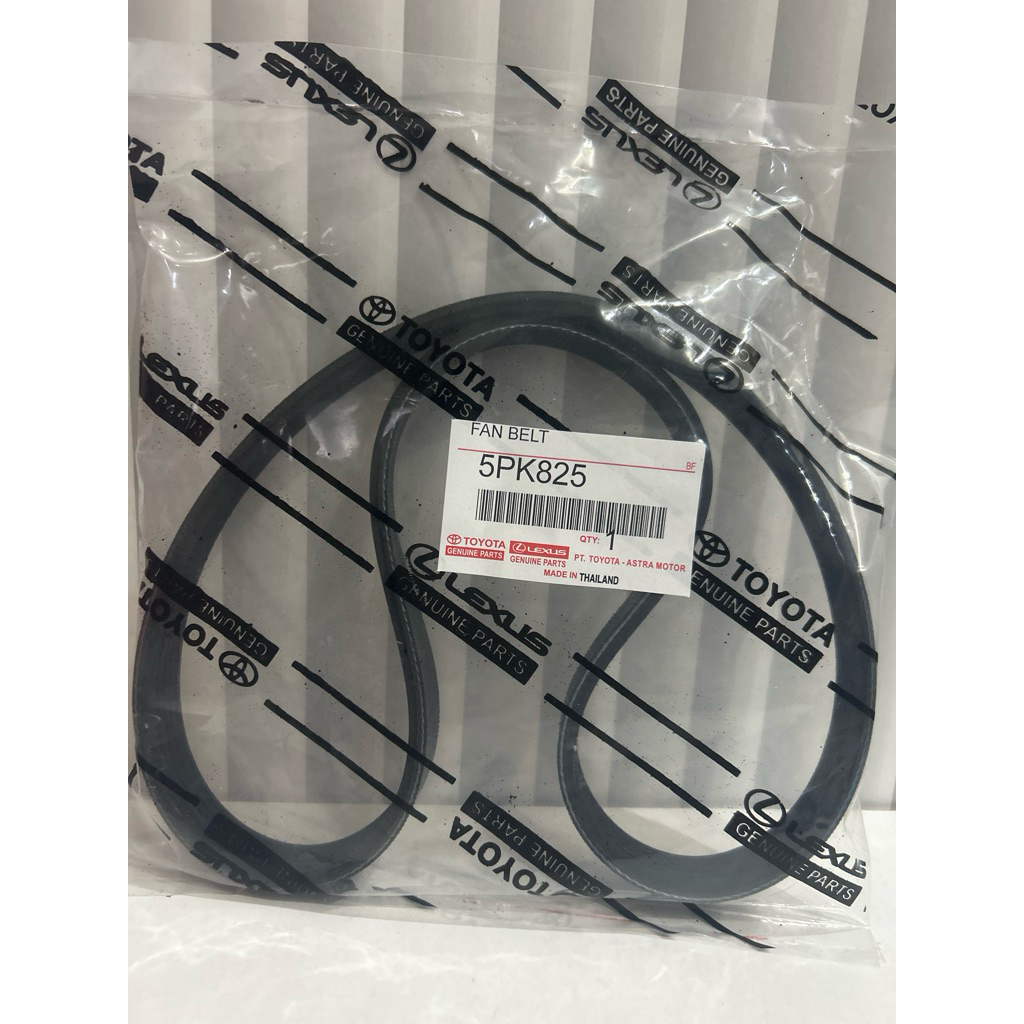 Compressor Fan Belt 5PK825