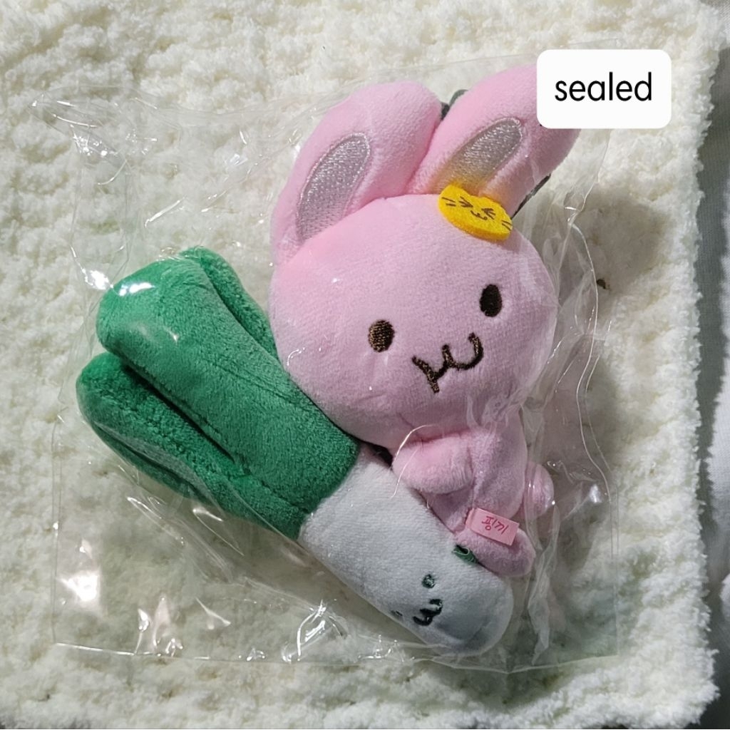 Official NCT Dream magnet doll daepa daun bawang pinkki jaembukki ready ina