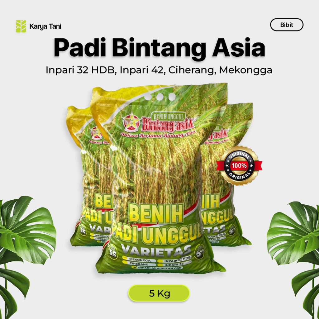 Benih Padi Bintang Asia Inpari 42 Inpari 32 HDB Ciherang Mekongga 5 Kg