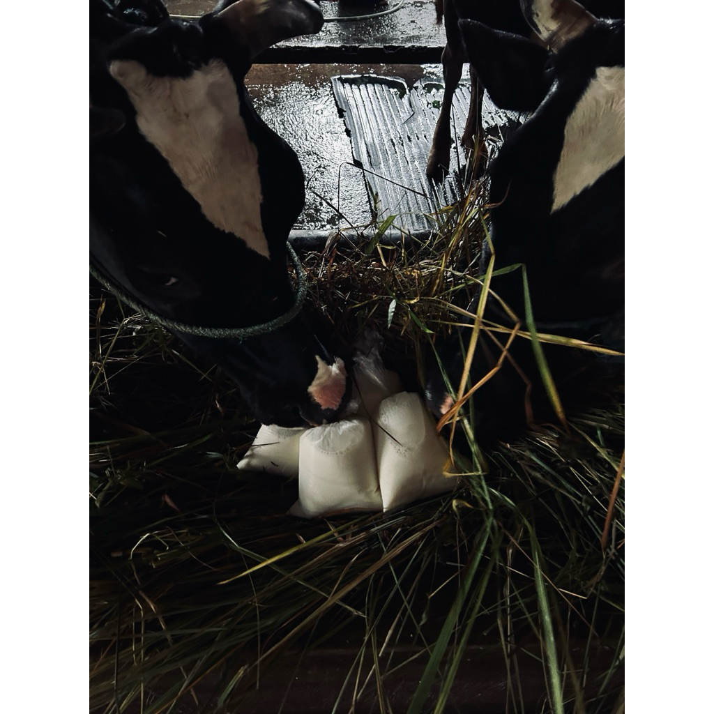 Susu Sapi murni kemasan 1Liter (fresh)