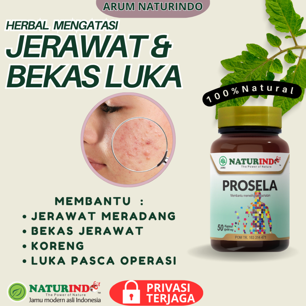Prosela Obat Jerawat Dan  Bekas Jerawat  Batu Herbal Jerawat Punggung Pria Dan Wanita Bruntusan  Waj