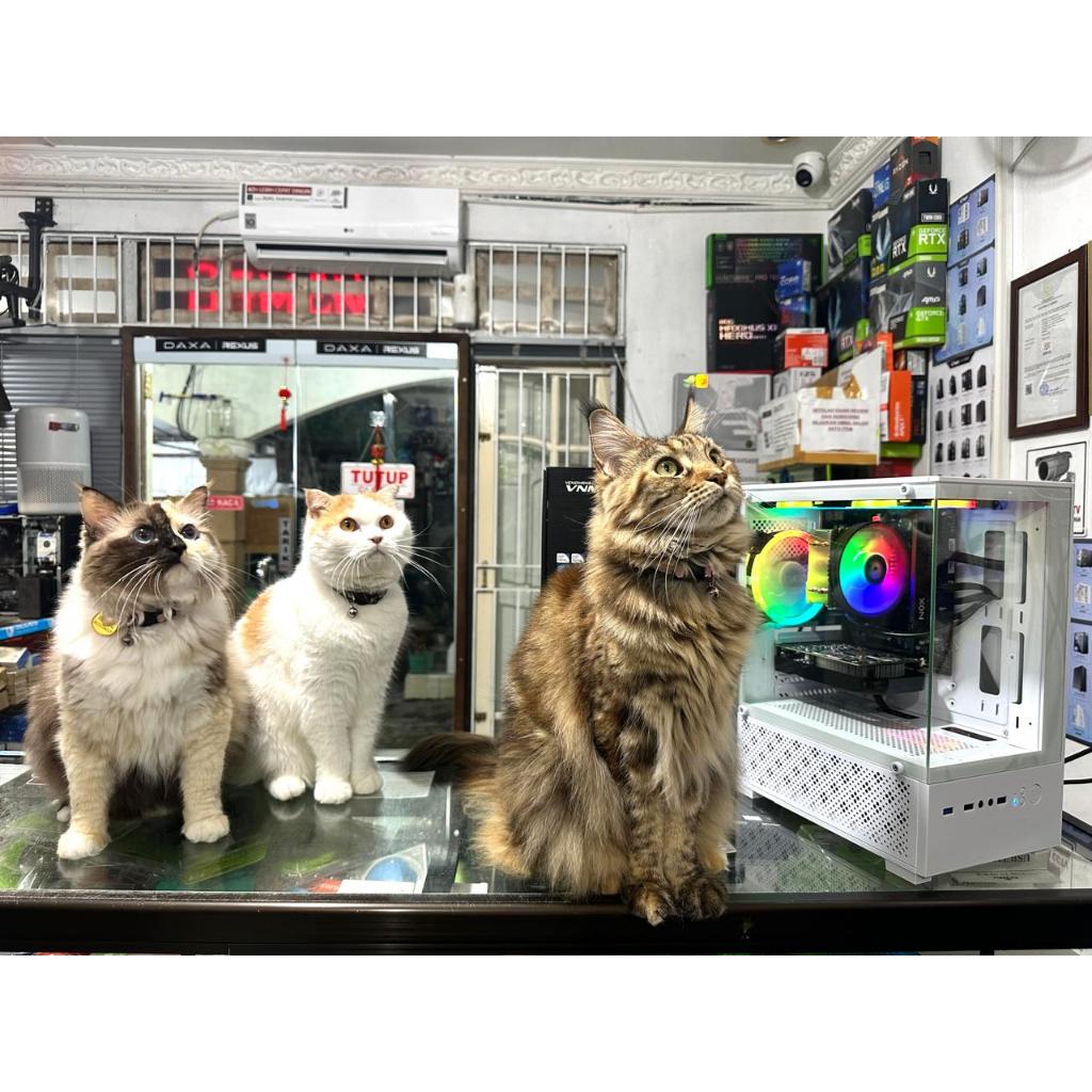 RAKITAN PC GAMING SIAP PAKAI I7 7700 RAM 16GB GTX 1050TI SSD+HDD 756GB PC ONLY BEKAS