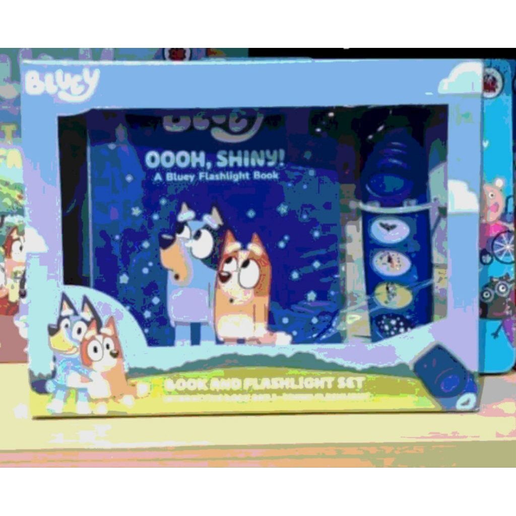 senter karakter bluey buku dan senter bluey book and flashlight set bluey buku impor bluey buku ceri
