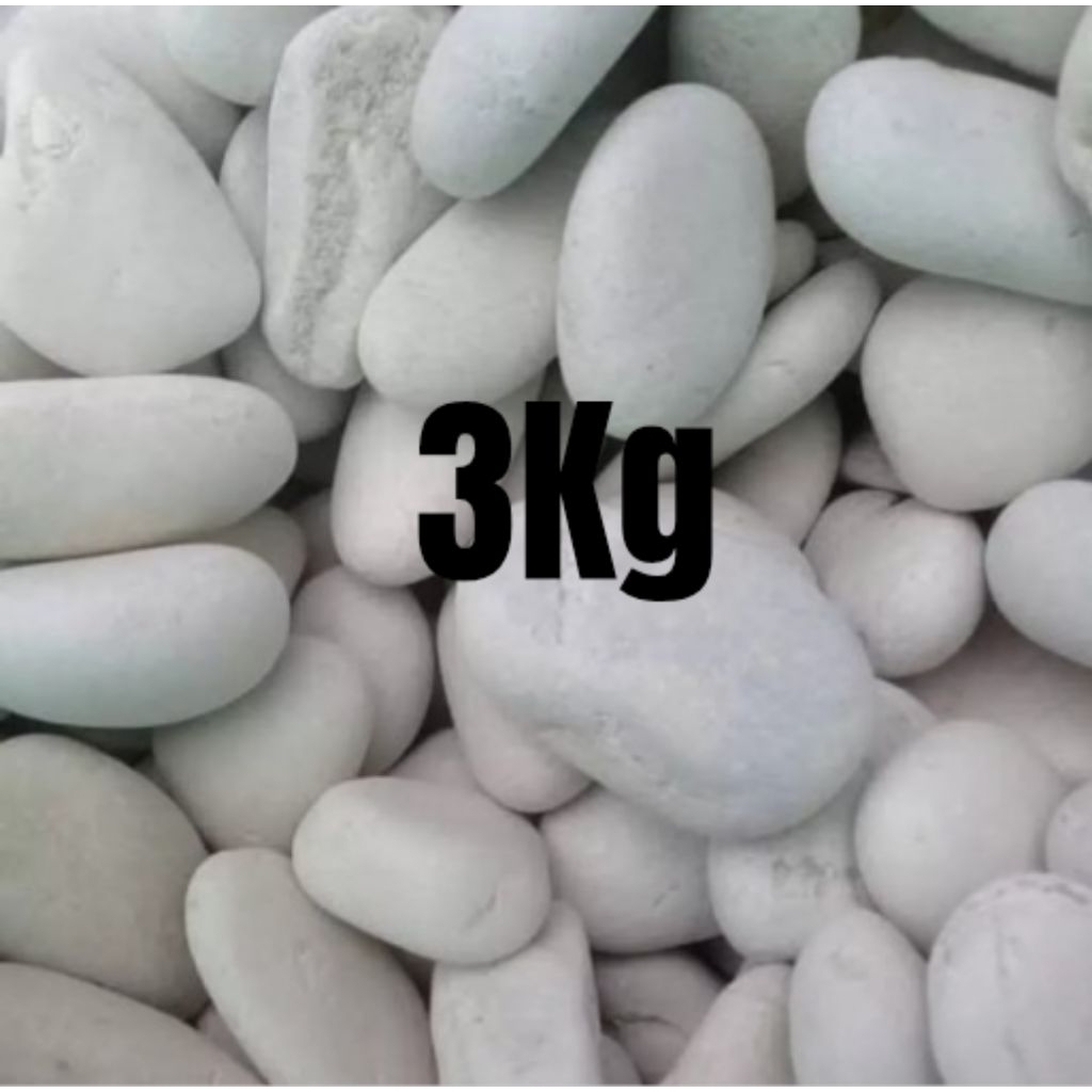 Batu Taman Putih 3kg / Termurah / Batu Coral Putih Kupang / Batu Kupang / Batu Taman Putih