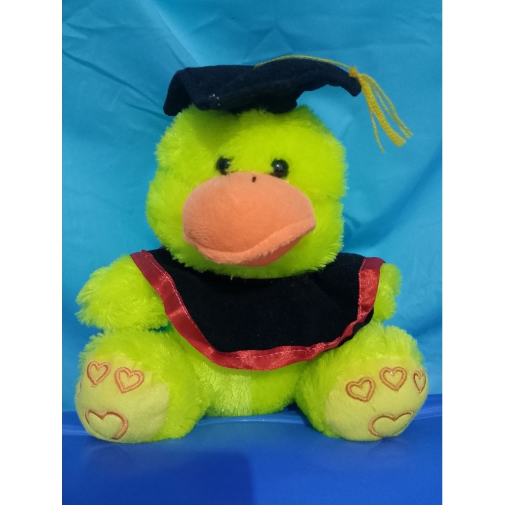 Boneka Wisuda Preloved