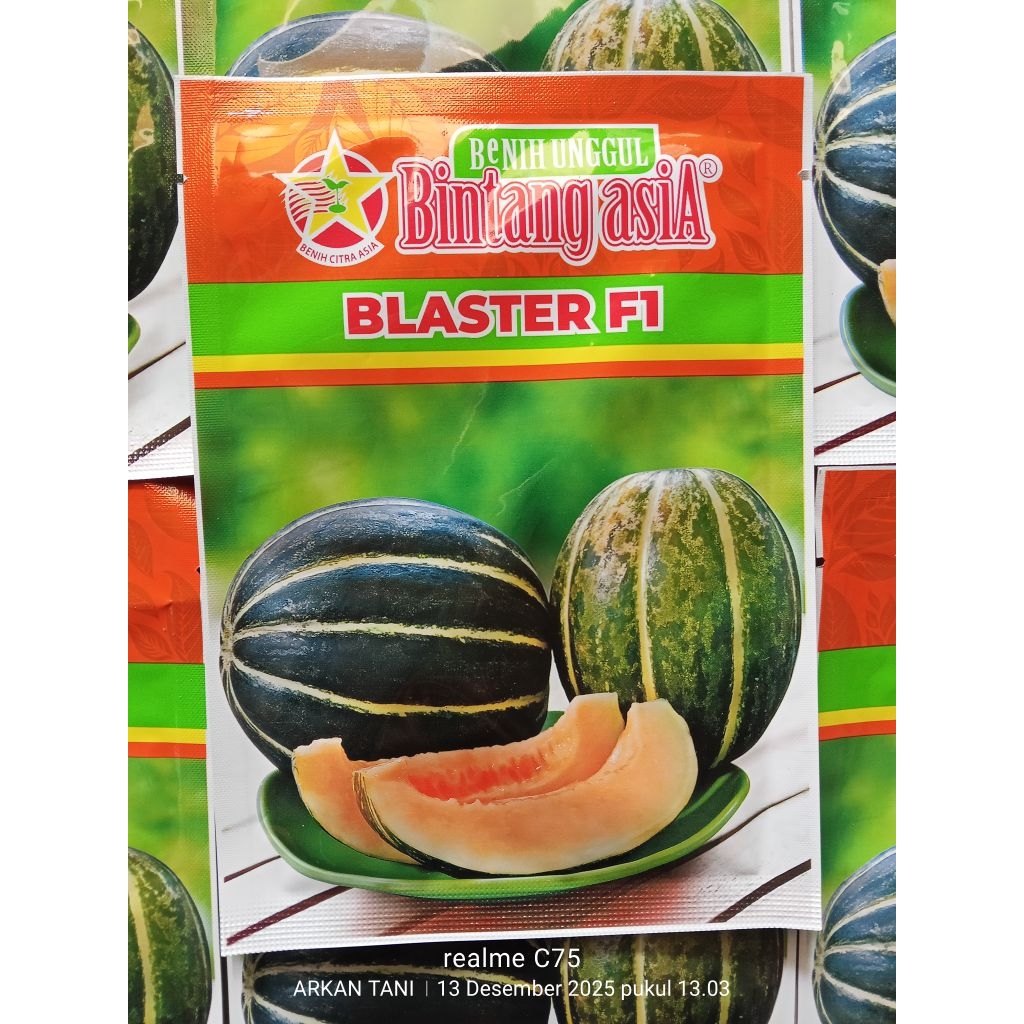 BENIH BLEWAH BLASTER F1 15 GRAM - BINTANG ASIA