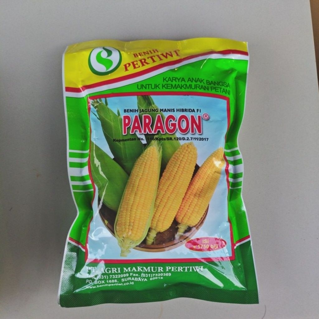 Bibit pertiwi Jagung Paragon