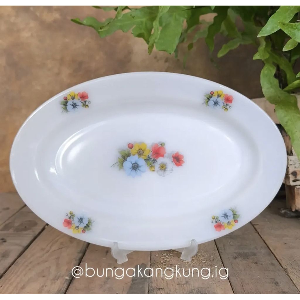 Lodor oval plate Arcopal