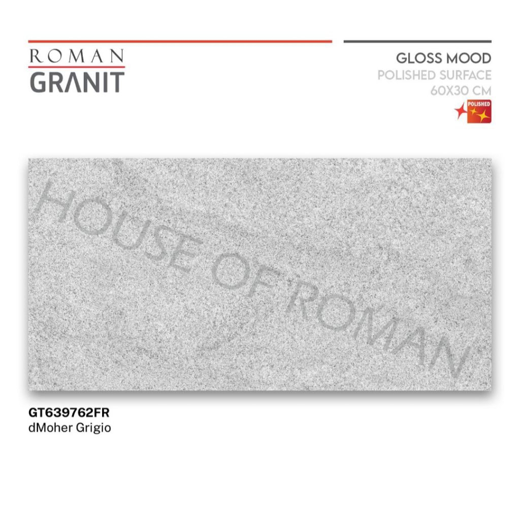 Roman Granit GT639762FR dMoher Grigio 60x30 Kw2