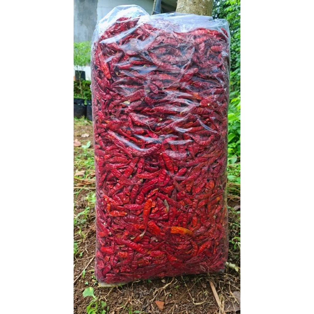 Cabe Rawit Kering Teja 1KG - Super Pedas, Tanpa Tangkai, super kering