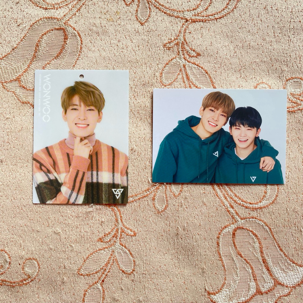 SEVENTEEN TC JAT JAPAN ARENA TOUR WONWOO WOOZI WONHOON