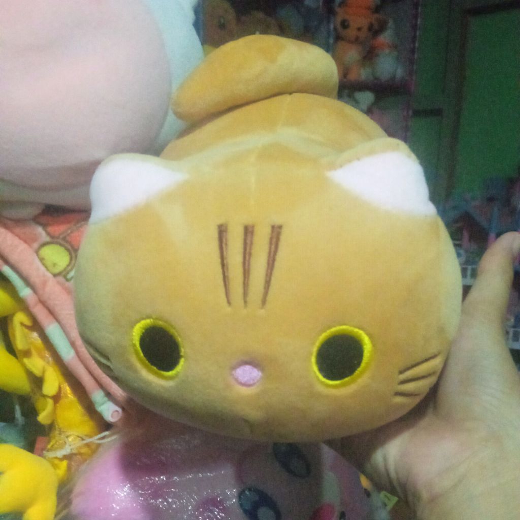 boneka kucing gembul