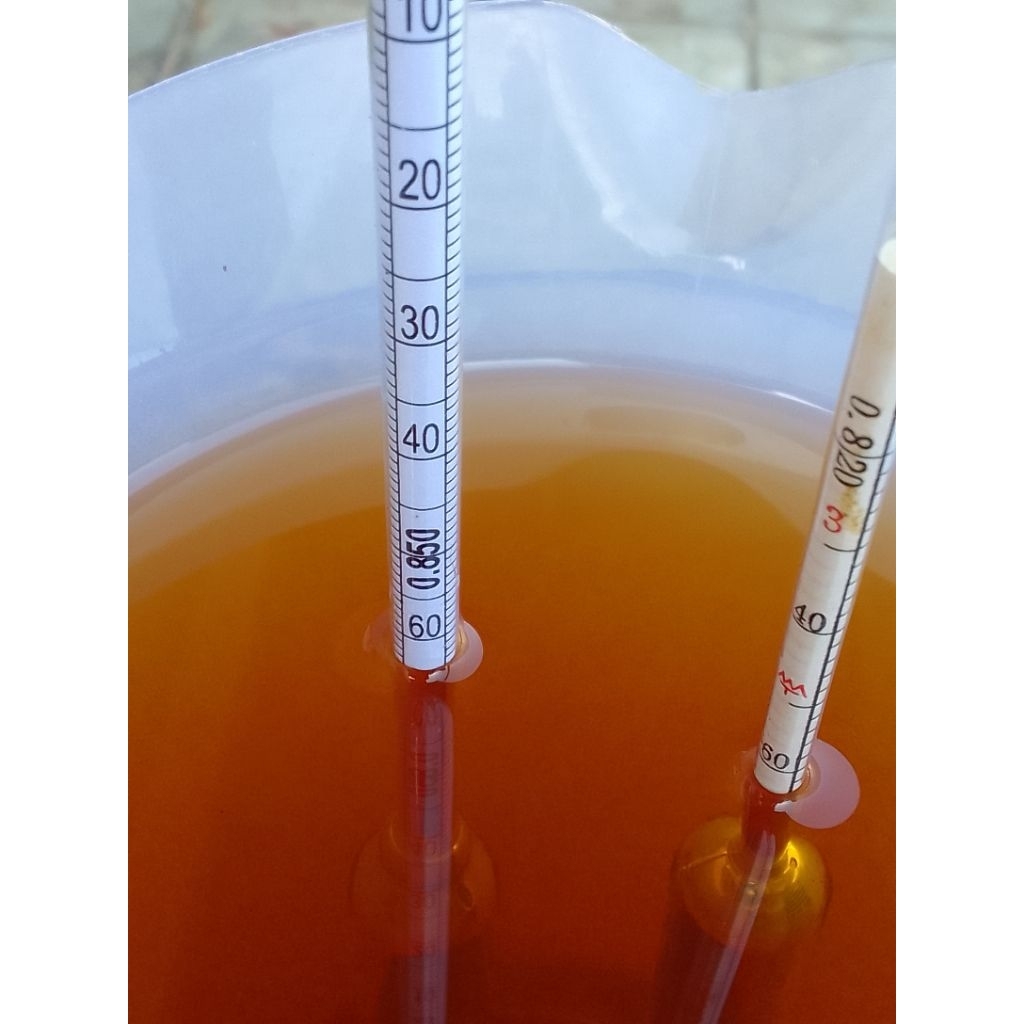 minyakIkanHiuBotolSqualene