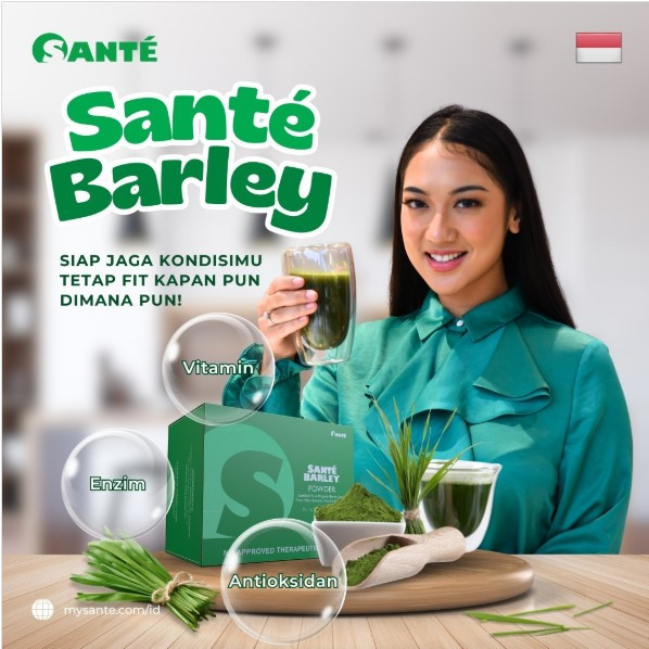 Sante Barley Grass | Barley Powder Organik untuk Imunitas Tubuh