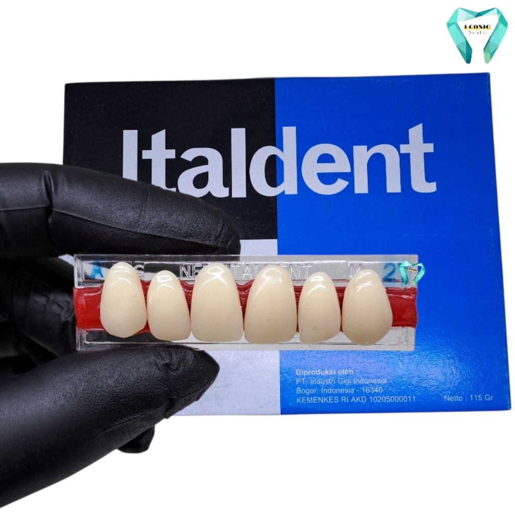 Gigi palsu Italdent ( Depan atas ) 1 Baris Isi 6 Buah Gigi Italdent Anterior Upper (ECER)