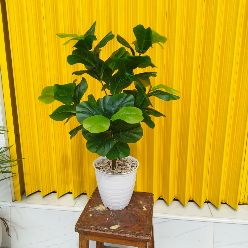 POHON KETAPANG BIOLA/BUNGA HIAS/BUNGA PLASTIK/TANAMAN HIAS